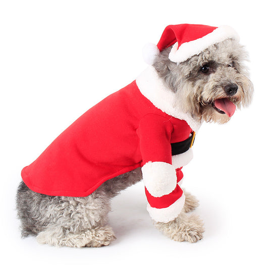 Unique Pet Holiday Costumes